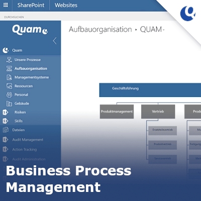 Warum Sie sich für Business Process Management entscheiden sollten!