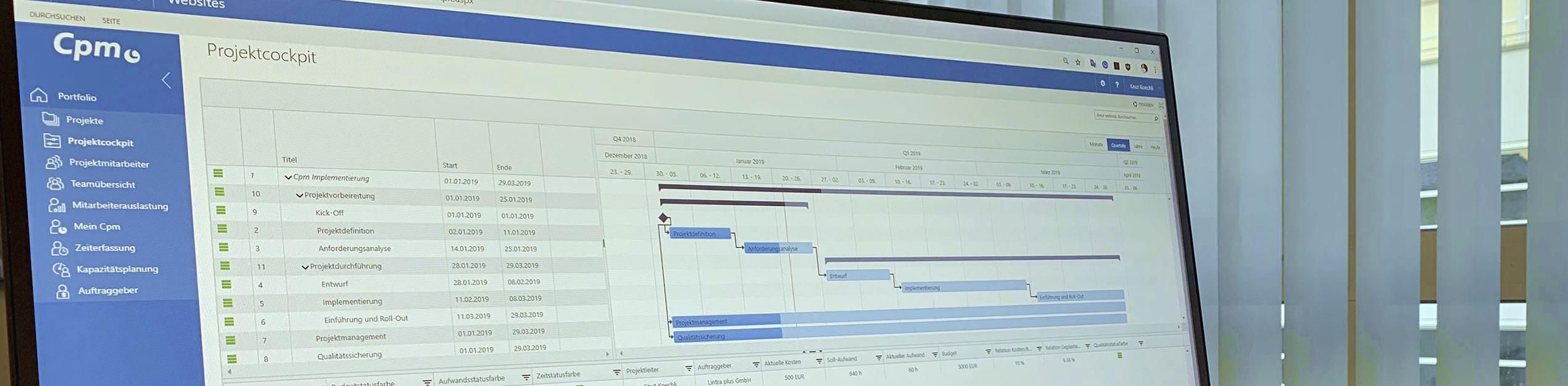 Collaborative project management