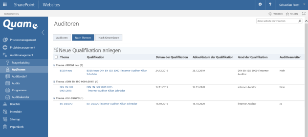 Auditorensicht