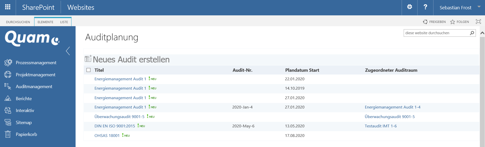 Auditplanung